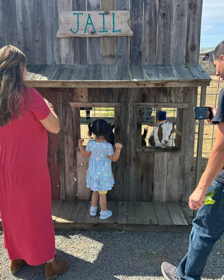 Farm animals including goats, pigs, and chickens