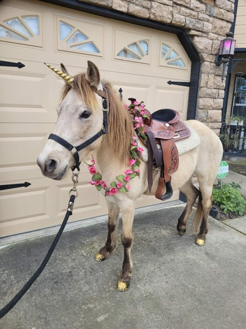 Decorated unicorn pony with floral garland and saddle