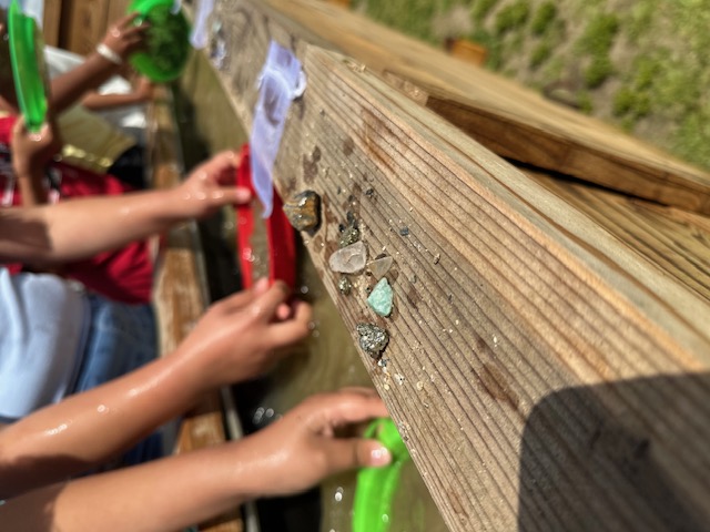 Gold Rush field trip experience